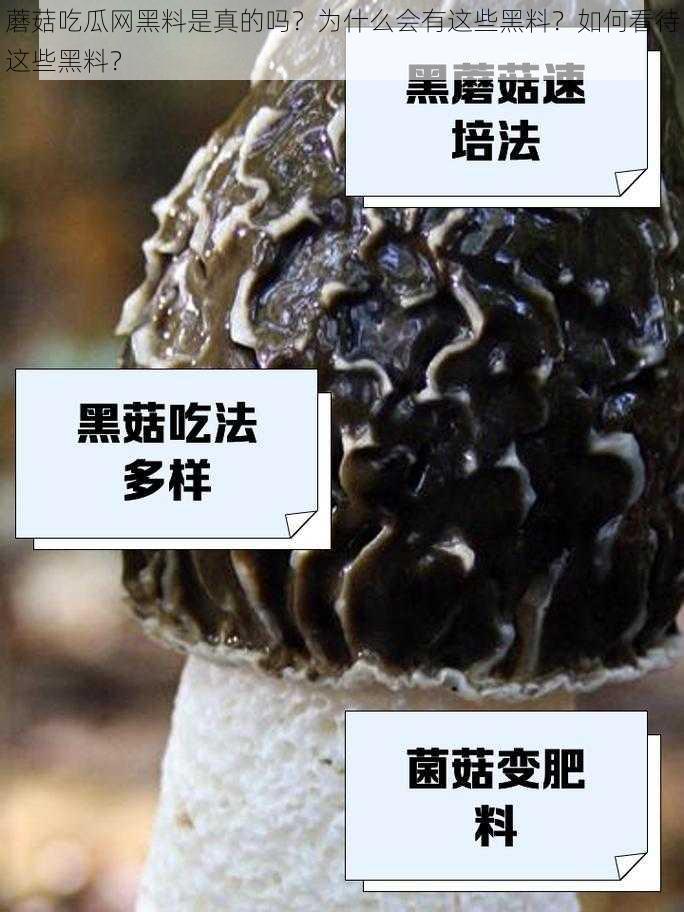 蘑菇吃瓜网黑料是真的吗？为什么会有这些黑料？如何看待这些黑料？