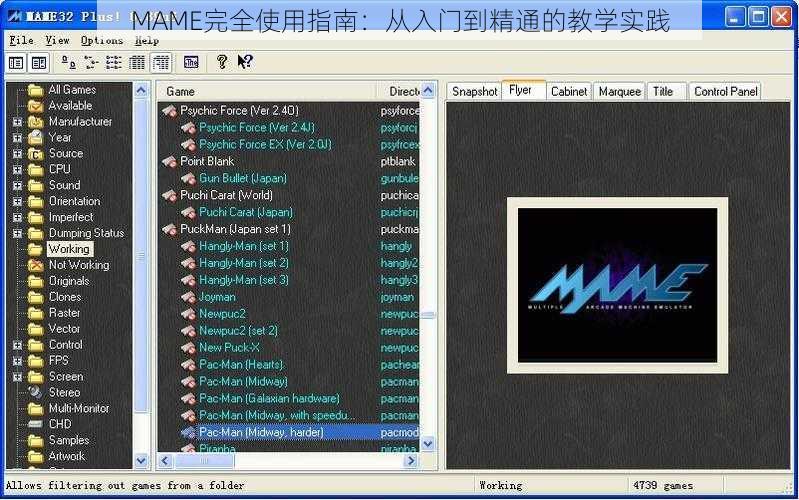MAME完全使用指南：从入门到精通的教学实践