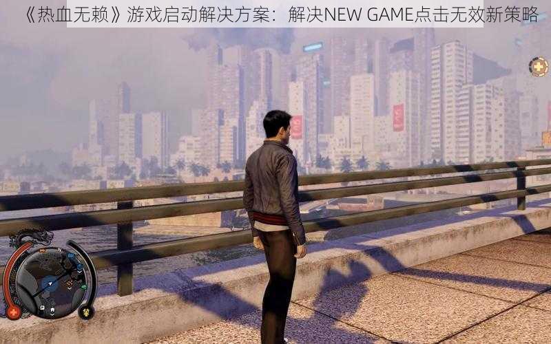 《热血无赖》游戏启动解决方案：解决NEW GAME点击无效新策略