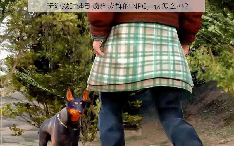 玩游戏时遇到疯狗成群的 NPC，该怎么办？