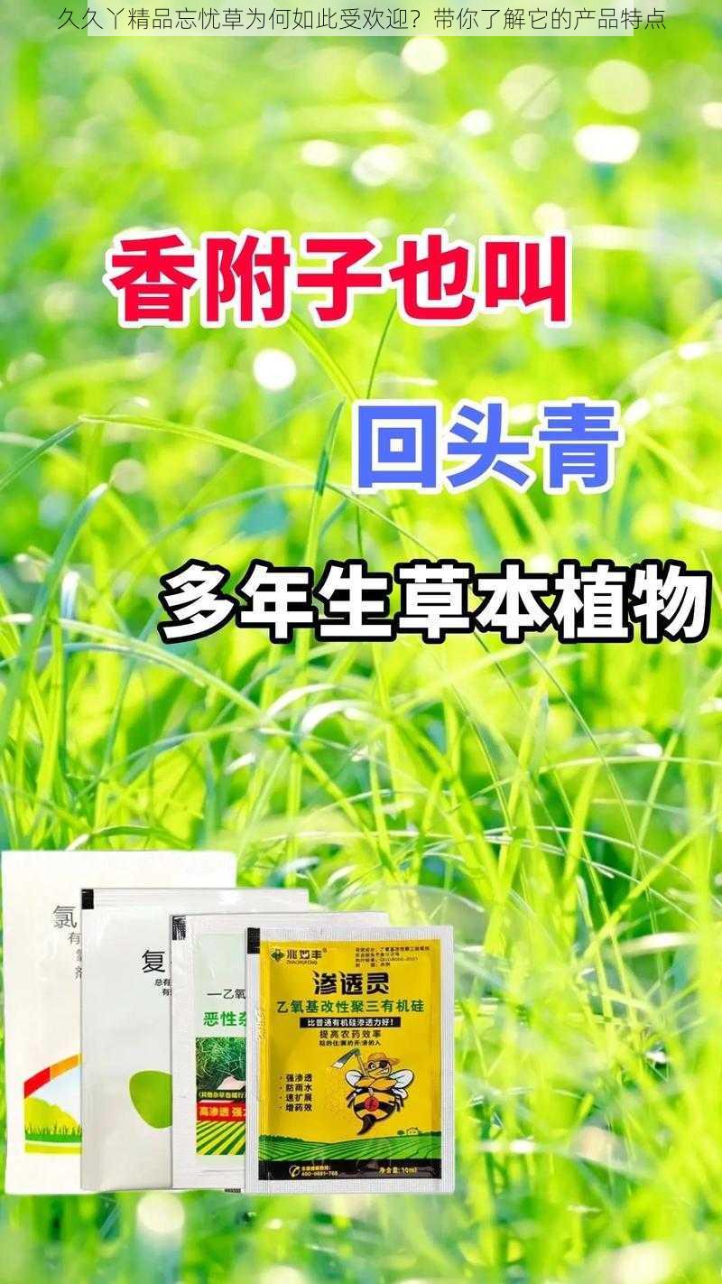 久久丫精品忘忧草为何如此受欢迎？带你了解它的产品特点