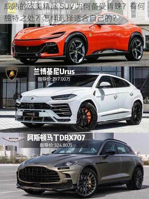 成熟的欧美精品 SUV 为何备受青睐？有何独特之处？怎样选择适合自己的？