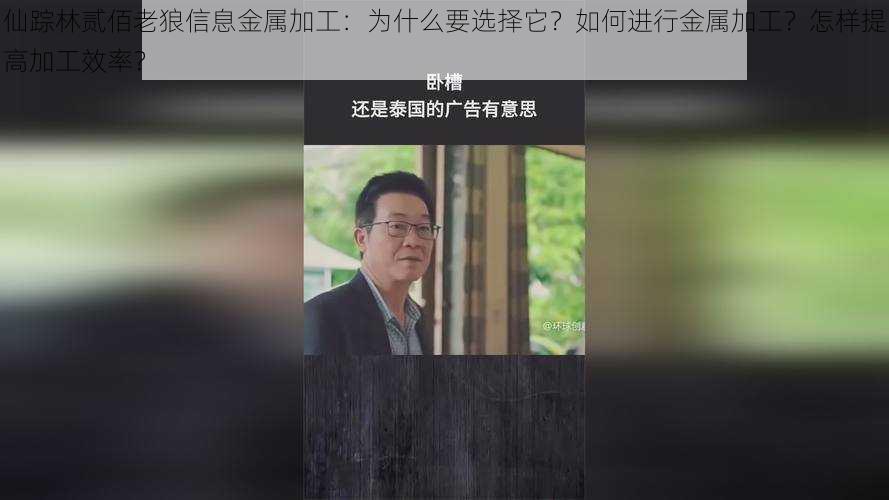 仙踪林贰佰老狼信息金属加工：为什么要选择它？如何进行金属加工？怎样提高加工效率？