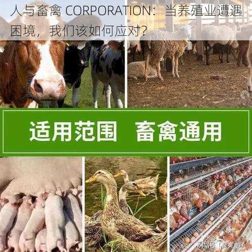 人与畜禽 CORPORATION：当养殖业遭遇困境，我们该如何应对？