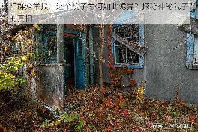 朝阳群众举报：这个院子为何如此诡异？探秘神秘院子背后的真相