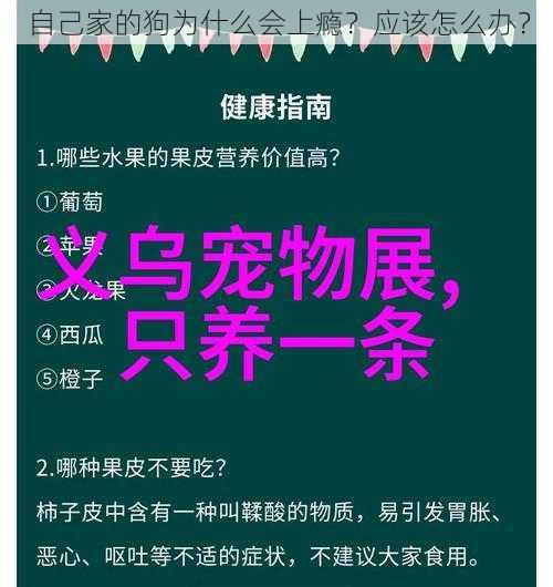 自己家的狗为什么会上瘾？应该怎么办？