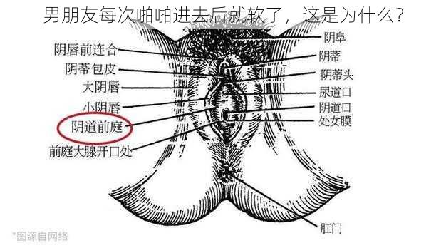 男朋友每次啪啪进去后就软了，这是为什么？