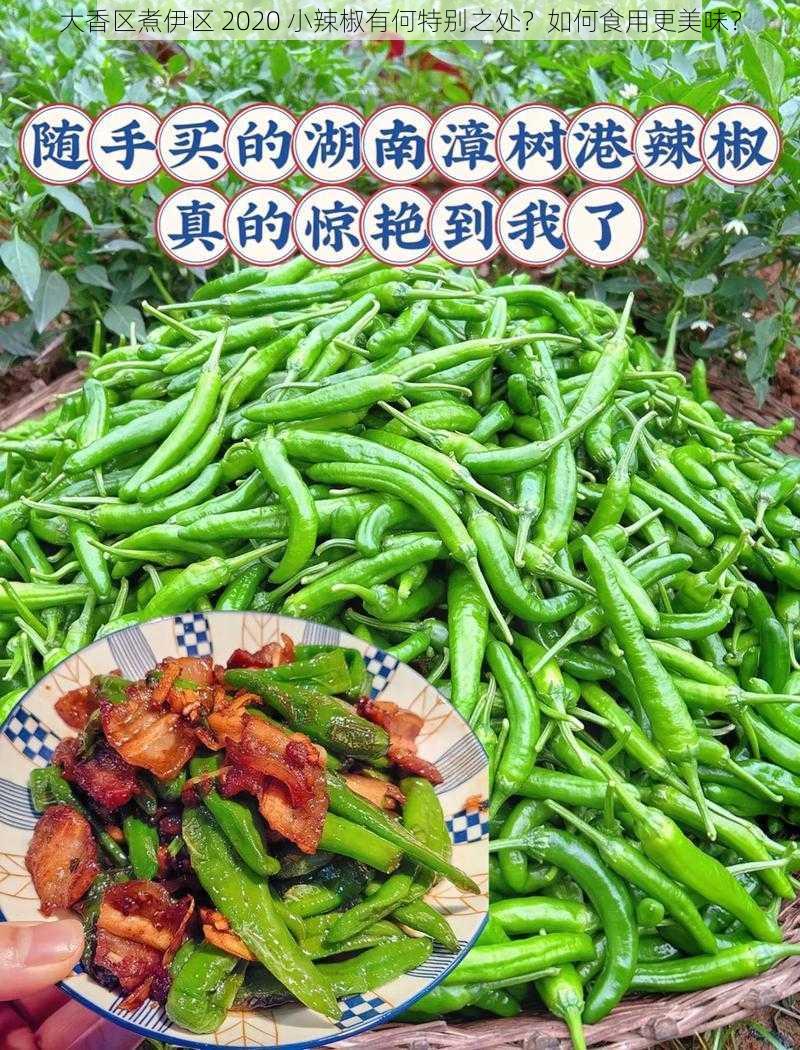 大香区煮伊区 2020 小辣椒有何特别之处？如何食用更美味？