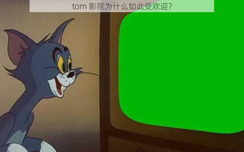 tom 影院为什么如此受欢迎？