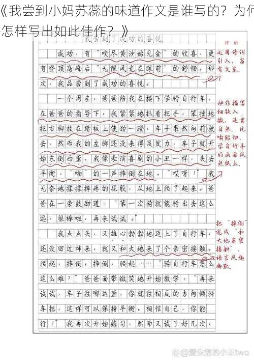 《我尝到小妈苏蕊的味道作文是谁写的？为何-怎样写出如此佳作？》