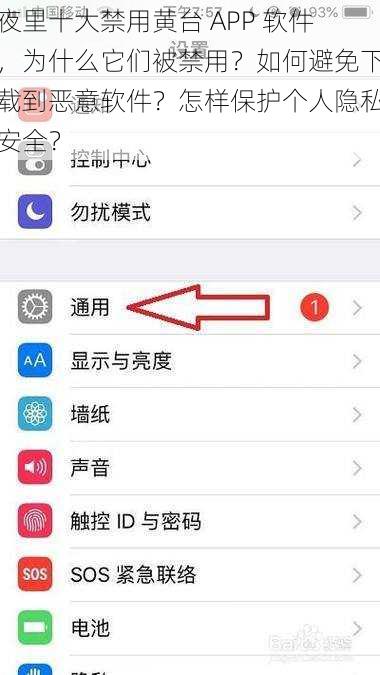 夜里十大禁用黄台 APP 软件，为什么它们被禁用？如何避免下载到恶意软件？怎样保护个人隐私安全？