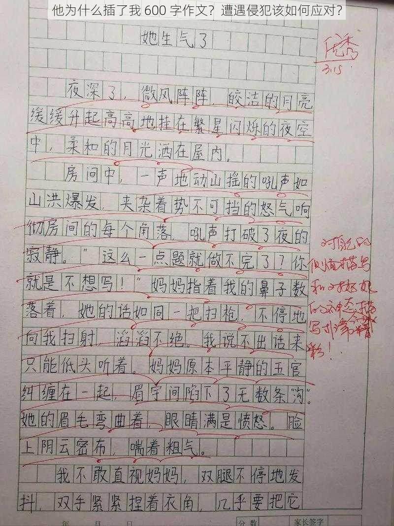 他为什么插了我 600 字作文？遭遇侵犯该如何应对？