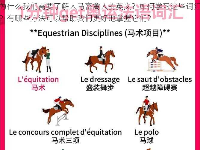 为什么我们需要了解人马畜禽人的英文？如何学习这些词汇？有哪些方法可以帮助我们更好地掌握它们？