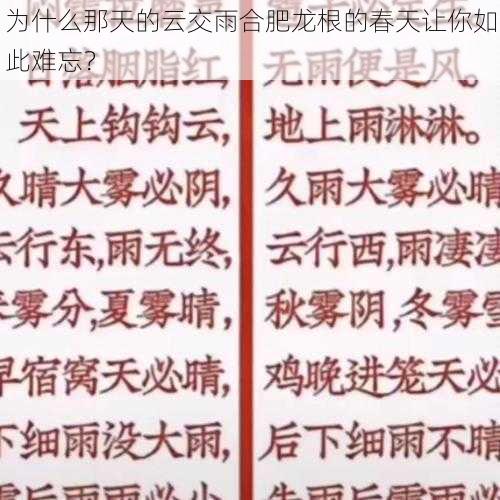 为什么那天的云交雨合肥龙根的春天让你如此难忘？