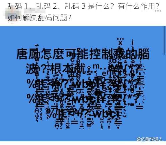 乱码 1、乱码 2、乱码 3 是什么？有什么作用？如何解决乱码问题？