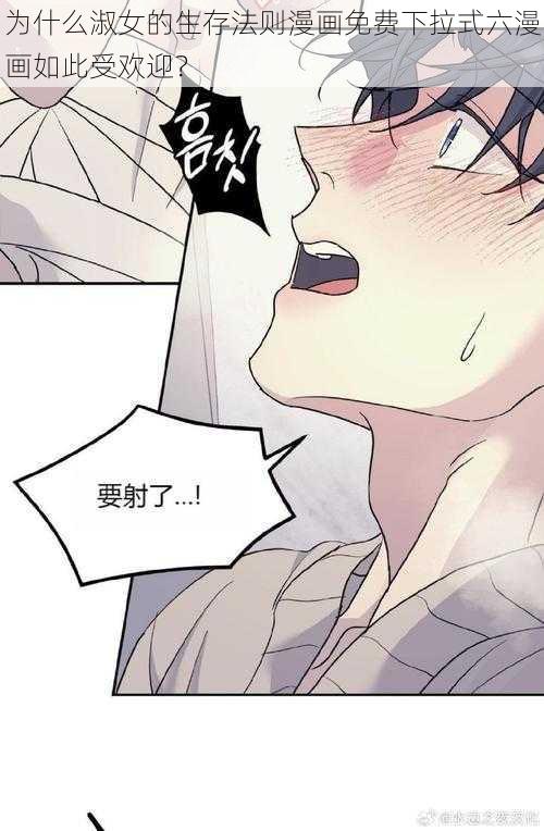 为什么淑女的生存法则漫画免费下拉式六漫画如此受欢迎？