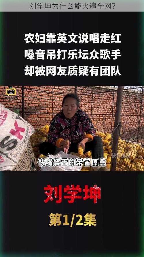 刘学坤为什么能火遍全网？