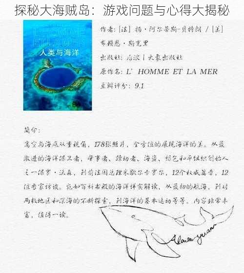 探秘大海贼岛：游戏问题与心得大揭秘