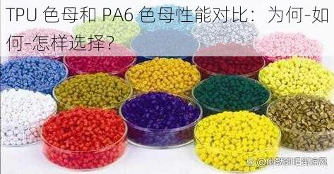 TPU 色母和 PA6 色母性能对比：为何-如何-怎样选择？