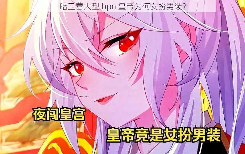 暗卫营大型 hpn 皇帝为何女扮男装？