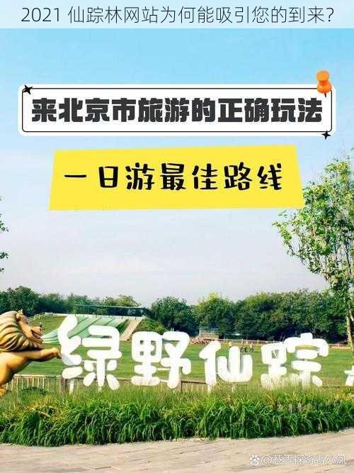 2021 仙踪林网站为何能吸引您的到来？