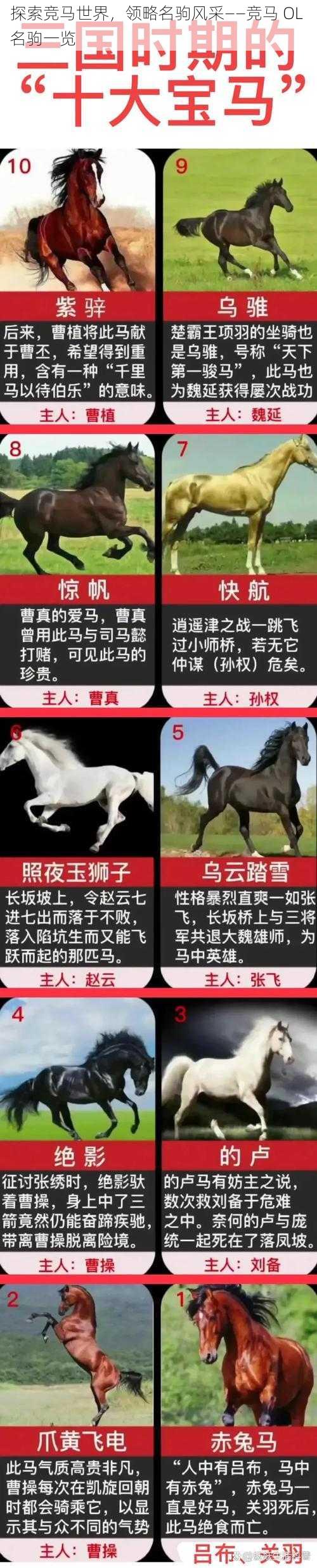 探索竞马世界，领略名驹风采——竞马 OL 名驹一览