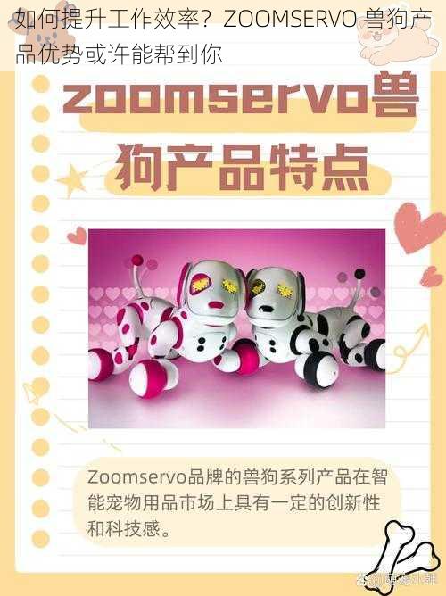 如何提升工作效率？ZOOMSERVO 兽狗产品优势或许能帮到你