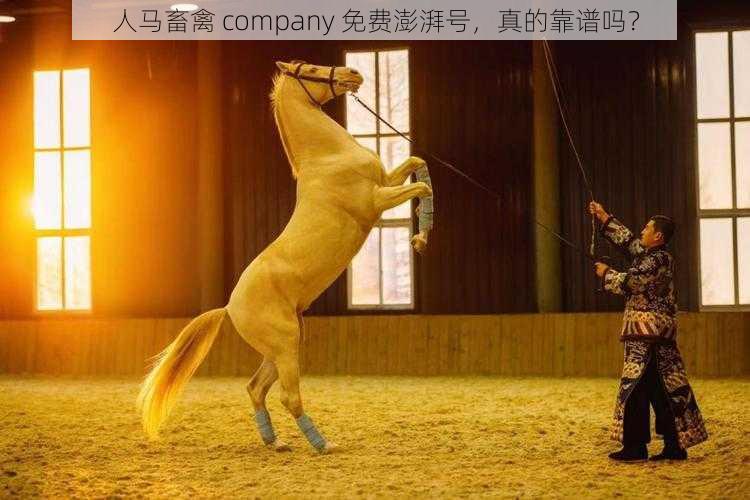 人马畜禽 company 免费澎湃号，真的靠谱吗？