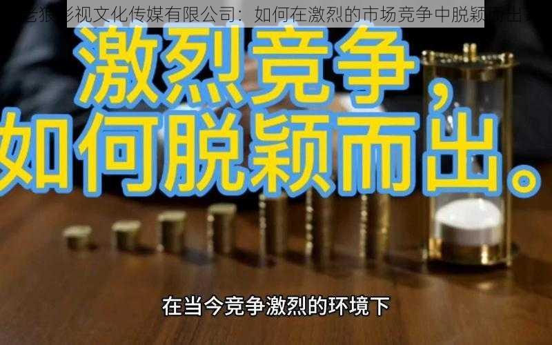 老狼影视文化传媒有限公司：如何在激烈的市场竞争中脱颖而出？