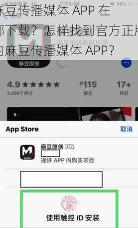 麻豆传播媒体 APP 在哪下载？怎样找到官方正版的麻豆传播媒体 APP？