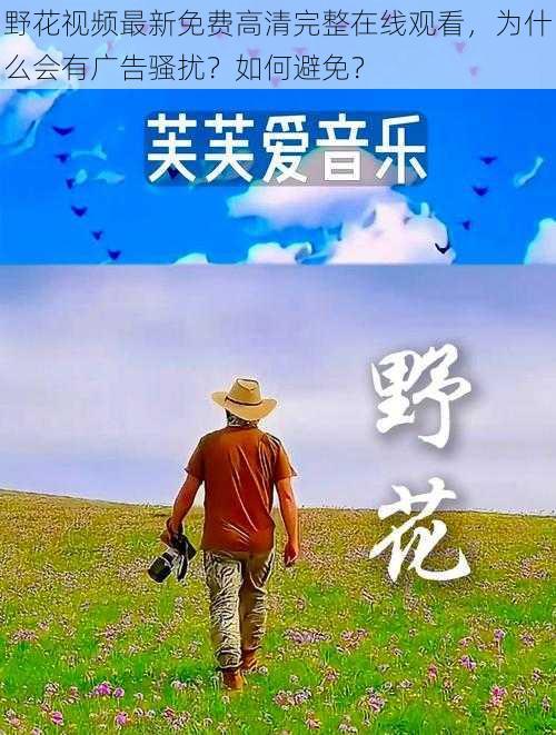 野花视频最新免费高清完整在线观看，为什么会有广告骚扰？如何避免？