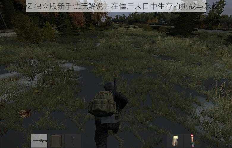 DayZ 独立版新手试玩解说：在僵尸末日中生存的挑战与乐趣