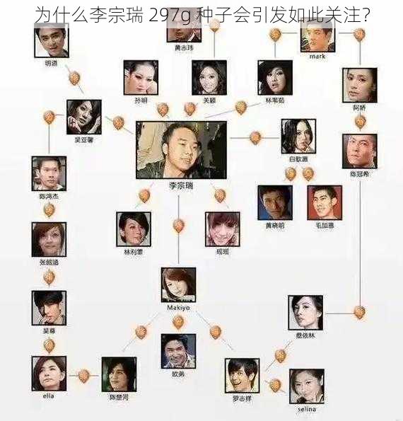 为什么李宗瑞 297g 种子会引发如此关注？