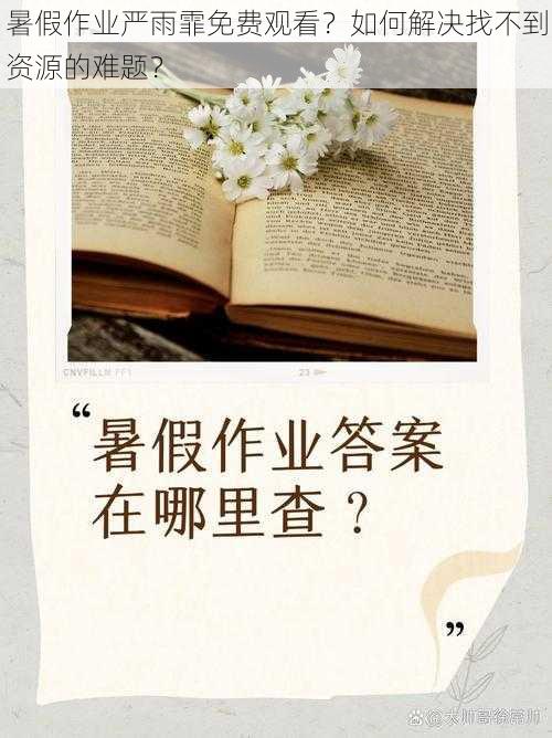 暑假作业严雨霏免费观看？如何解决找不到资源的难题？