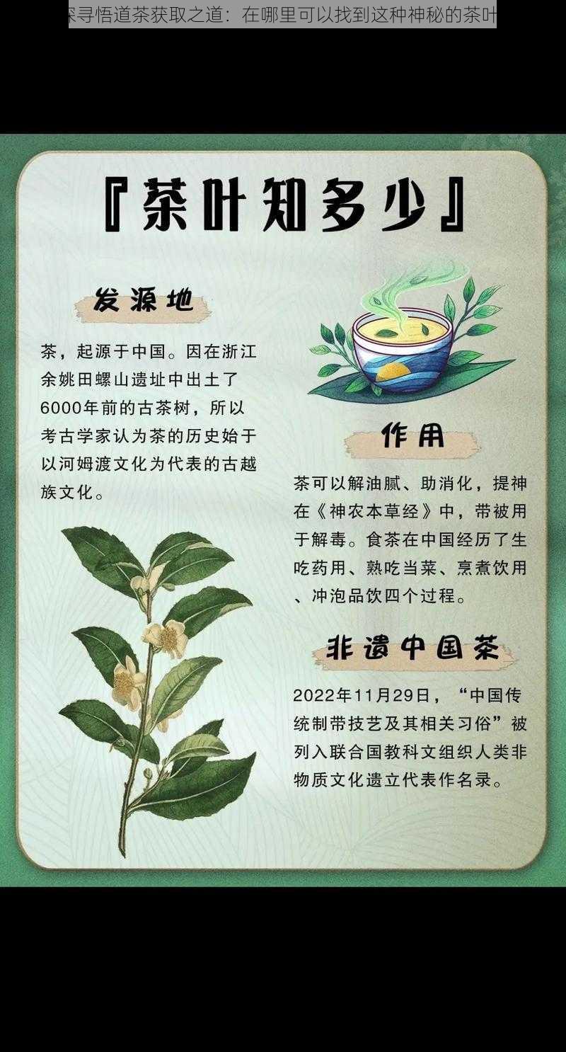 探寻悟道茶获取之道：在哪里可以找到这种神秘的茶叶？