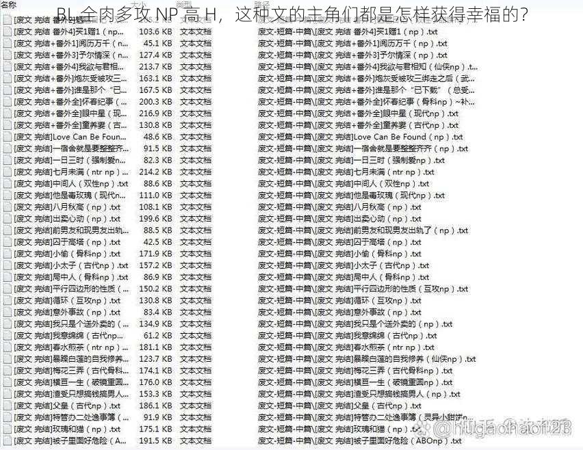 BL 全肉多攻 NP 高 H，这种文的主角们都是怎样获得幸福的？