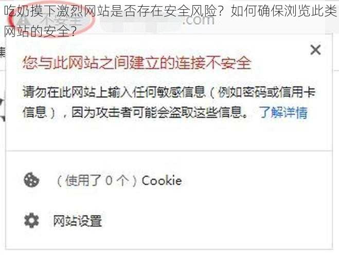 吃奶摸下激烈网站是否存在安全风险？如何确保浏览此类网站的安全？