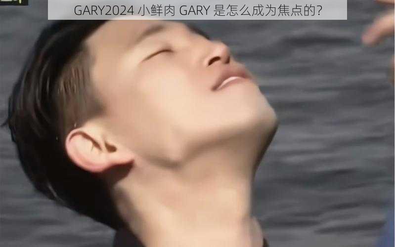 GARY2024 小鲜肉 GARY 是怎么成为焦点的？