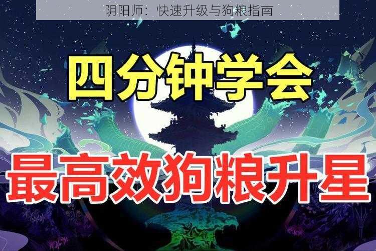 阴阳师：快速升级与狗粮指南