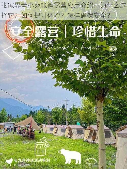 张家界董小宛帐篷露营应用介绍：为什么选择它？如何提升体验？怎样确保安全？