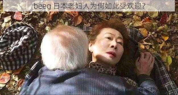 beeg 日本老妇人为何如此受欢迎？