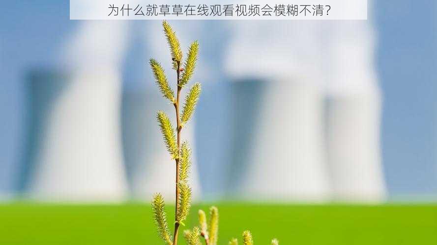 为什么就草草在线观看视频会模糊不清？