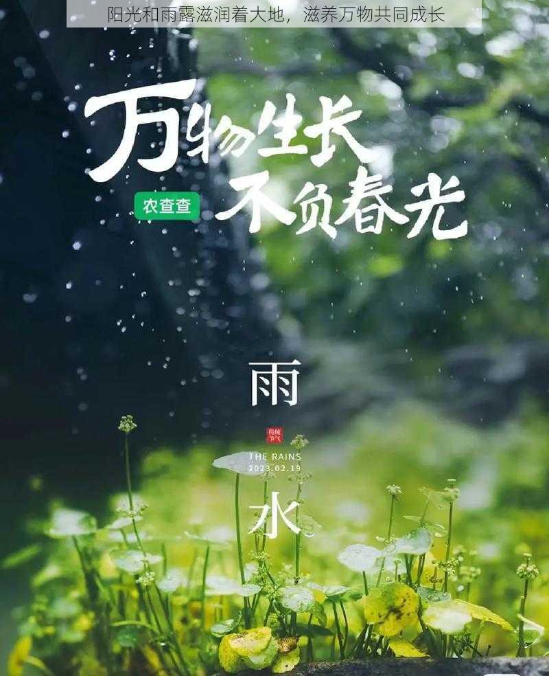 阳光和雨露滋润着大地，滋养万物共同成长