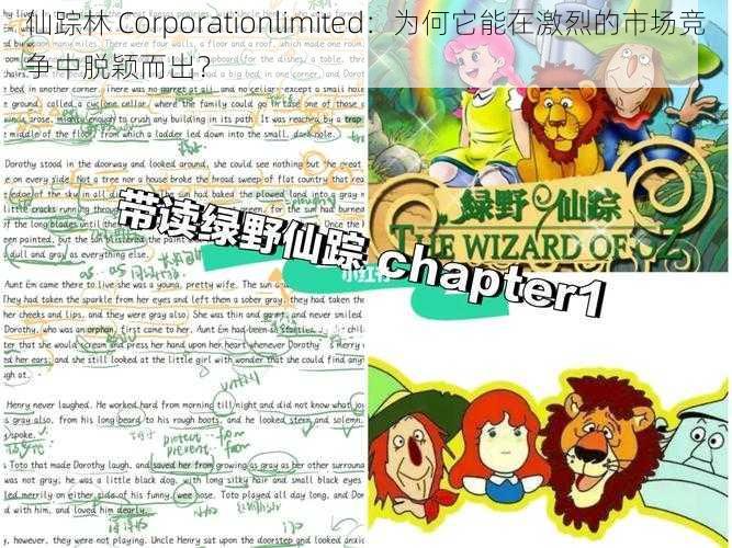 仙踪林 Corporationlimited：为何它能在激烈的市场竞争中脱颖而出？