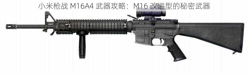 小米枪战 M16A4 武器攻略：M16 改进型的秘密武器