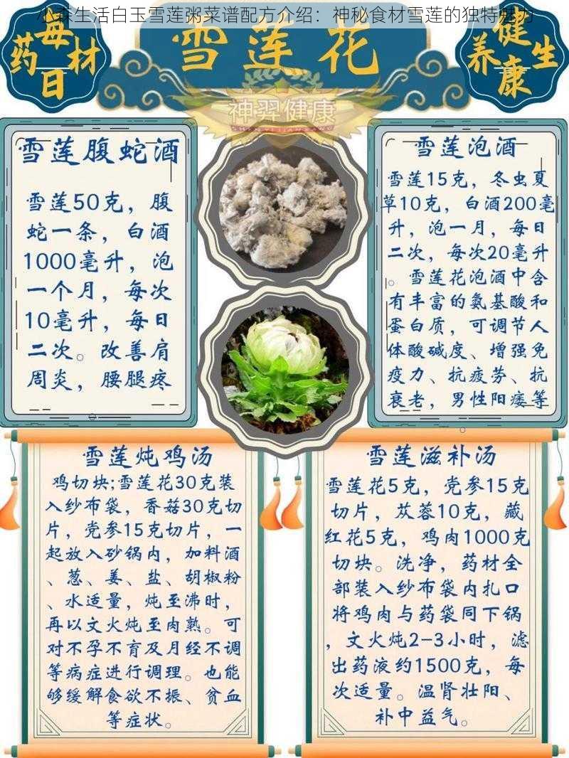 小森生活白玉雪莲粥菜谱配方介绍：神秘食材雪莲的独特魅力