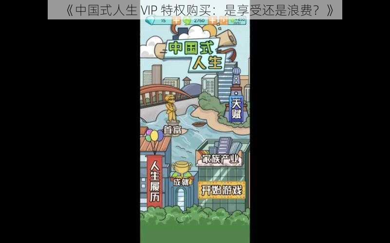 《中国式人生 VIP 特权购买：是享受还是浪费？》