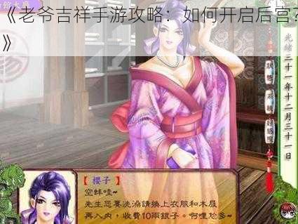 《老爷吉祥手游攻略：如何开启后宫？》