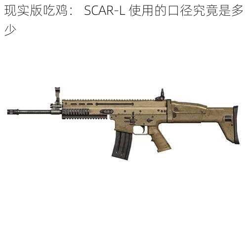 现实版吃鸡： SCAR-L 使用的口径究竟是多少