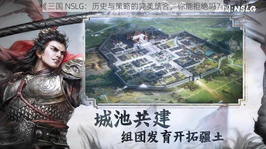 《三国 NSLG：历史与策略的完美结合，你能拒绝吗？》